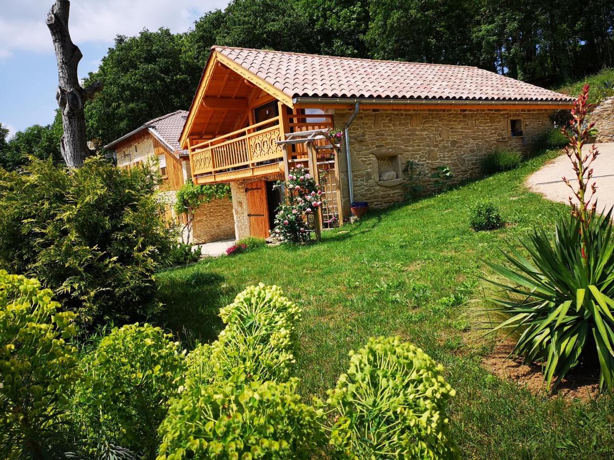 Chalet Le Clos De L'Orme Saint-Lattier Zewnętrze zdjęcie