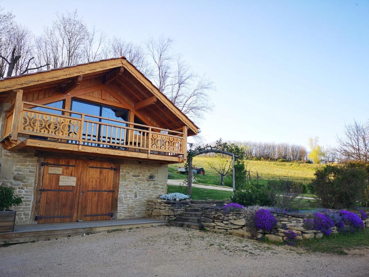 Chalet Le Clos De L'Orme Saint-Lattier Zewnętrze zdjęcie